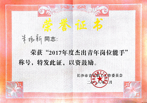 必发集团智能朱振新荣获长沙市2017年度卓越青年岗位能手