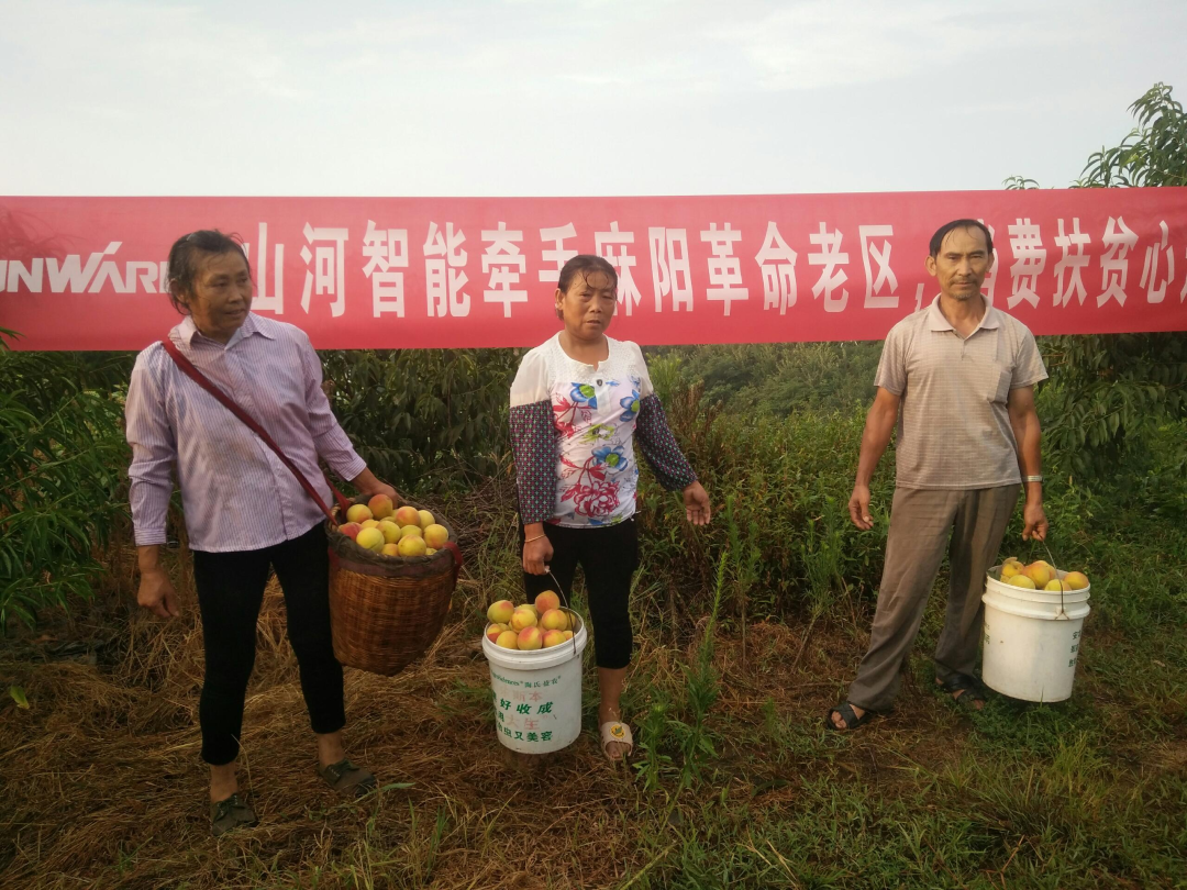 点赞！必发集团智能成功入选“上市公司村落振兴优良实际案例”